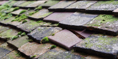 Calverton roof repair costs